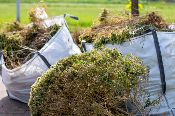Best Carpet Removal and Disposal  in Zeeland, MI